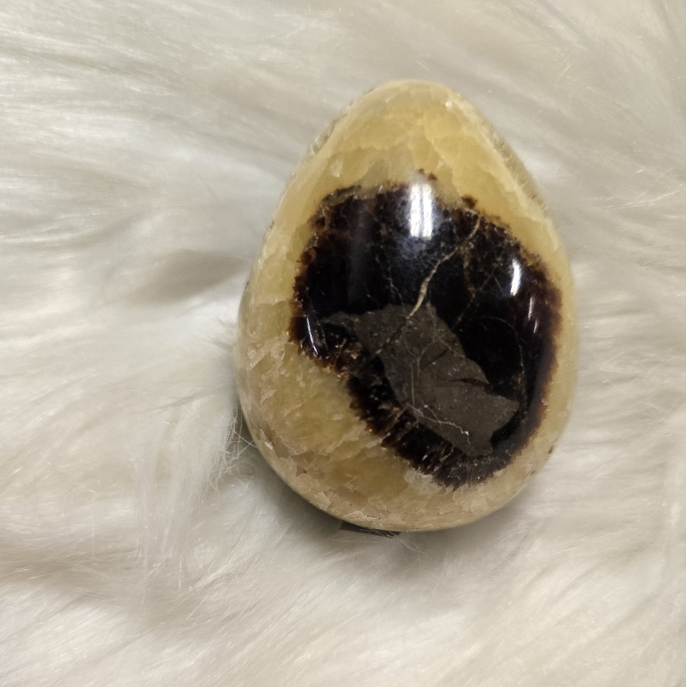 Septerian Egg